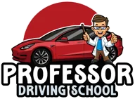 Professor Driving School logo